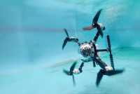 科技生活| 中港大学合作研发两栖无人机 “同济飞鱼”上天下海任纵横