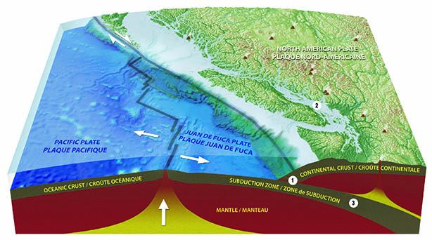溫哥華市政府在官網解釋加西地震帶圖示。溫哥華市政府官網