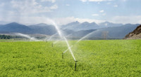 科技生活| 高科技土壤湿度传感器  造福农民灌溉更节约