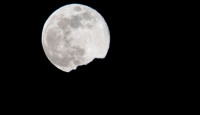 加拿大今晚可看超罕見「藍月亮」 下次出現要等14年！
