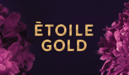 Etoile Gold by MILLENNIUM DEVELOPMENT