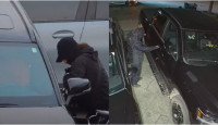 约克警公布区内最常被盗车款 偷车案比4年前增两倍