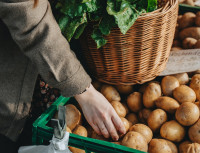 【港人移加 045】保質期 : 加拿大好像什麼都易變質