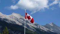 新移民為什麼待一段時間會離開加拿大？三大原因夢想破碎