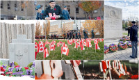 【和平纪念日2023】5个多伦多双11活动 向退伍军人致敬