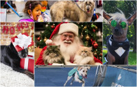 【好去處】多倫多聖誕寵物展 多個精彩活動共享家庭樂