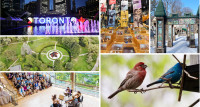【免费玩乐】发掘多伦多免费活动 大城市观光悭钱小贴士