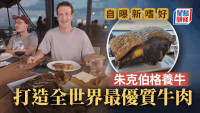 朱克伯格跨界釀啤酒養牛 矢言出產全世界最優質牛肉 獨特飼料曝光