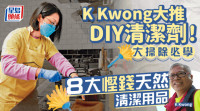 年廿八洗邋遢｜8大悭钱DIY天然清洁剂 香港化学博士大推1款厨余去渍！