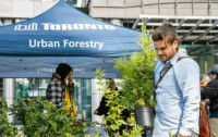 【免费】市府送树苗绿化城市  多伦多市民后院平添绿趣