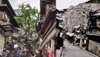 京都三年坂百岁樱花树倒塌 压伤62岁男教师