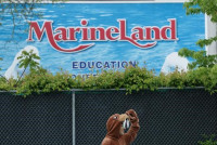 瀑布城海洋公园六月重开 多数游乐设施及动物展馆永久关闭