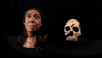 7.5万年前人类远祖什么样？　剑桥大学重建中东尼安德塔女性3D模型曝光