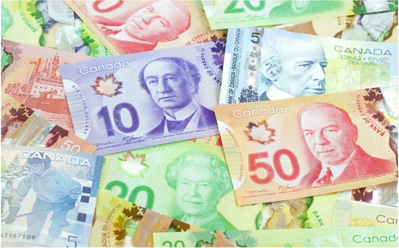【實用貼】加拿大人今夏可從政府那裏額外領到哪些錢？