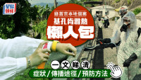 基孔肯尼亚热︱凤德邨出现首宗本地感染个案 一文睇清病征/传播方法/预防措施