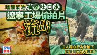 「加料」酸菜︱製造工場人員食煙兼亂吐「口水」 官方:已扣押該批酸菜