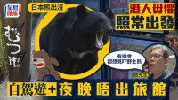日本熊出没︱港人毋惧照常出发 指自驾游较安全:有机会都想见吓野生熊